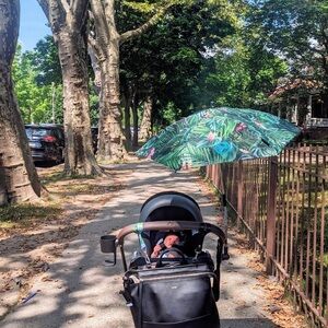 Cybex Platinum Stroller Parasol